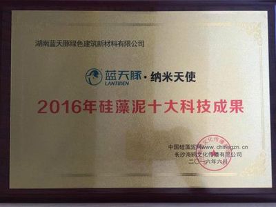 蓝天豚荣获2016年硅藻泥“十大科技成果” 水性纳米材料引领行业创新